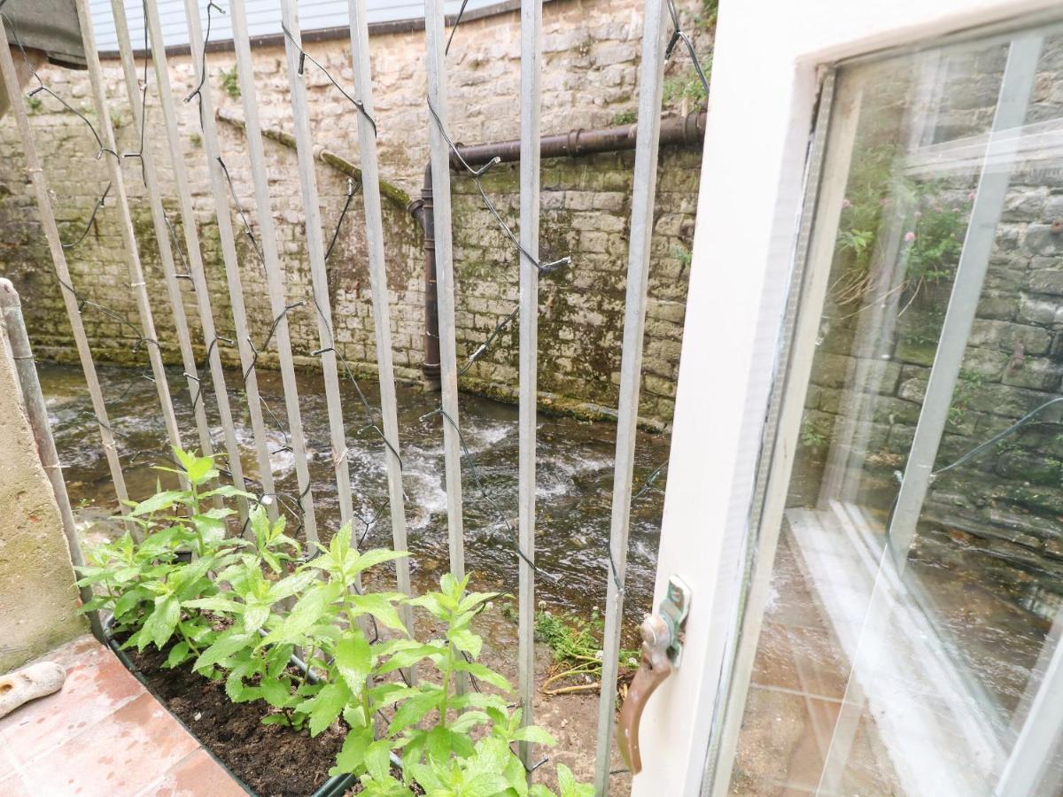 Riverdance Cottage 莱姆里吉斯 外观 照片